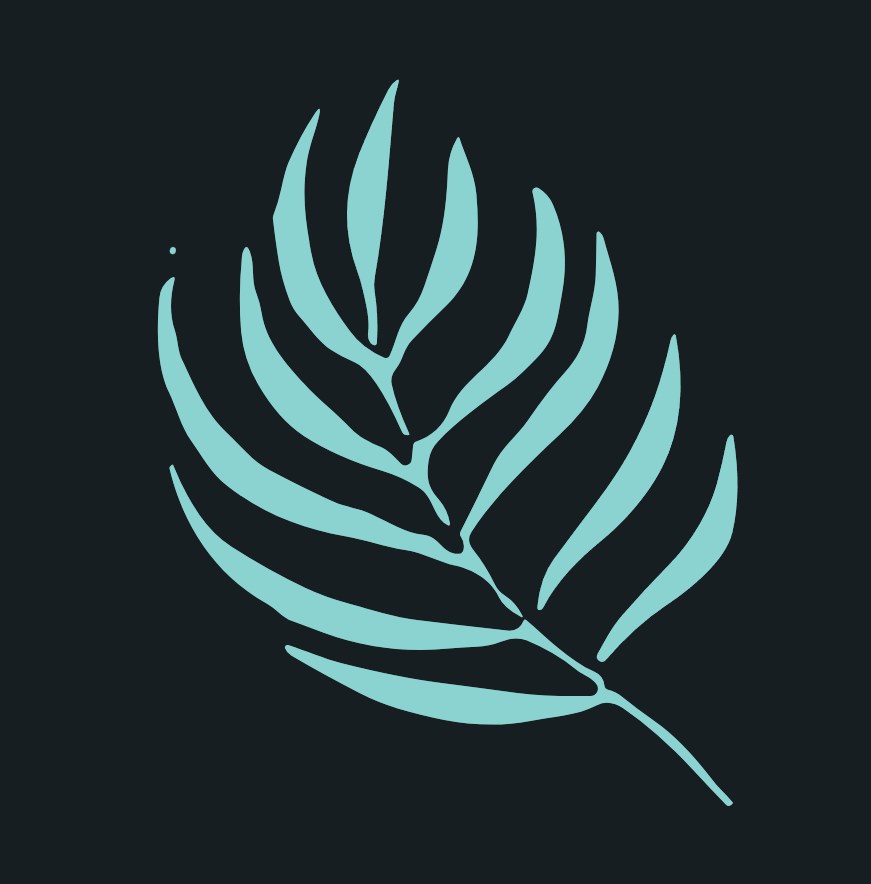 Mindbuddy