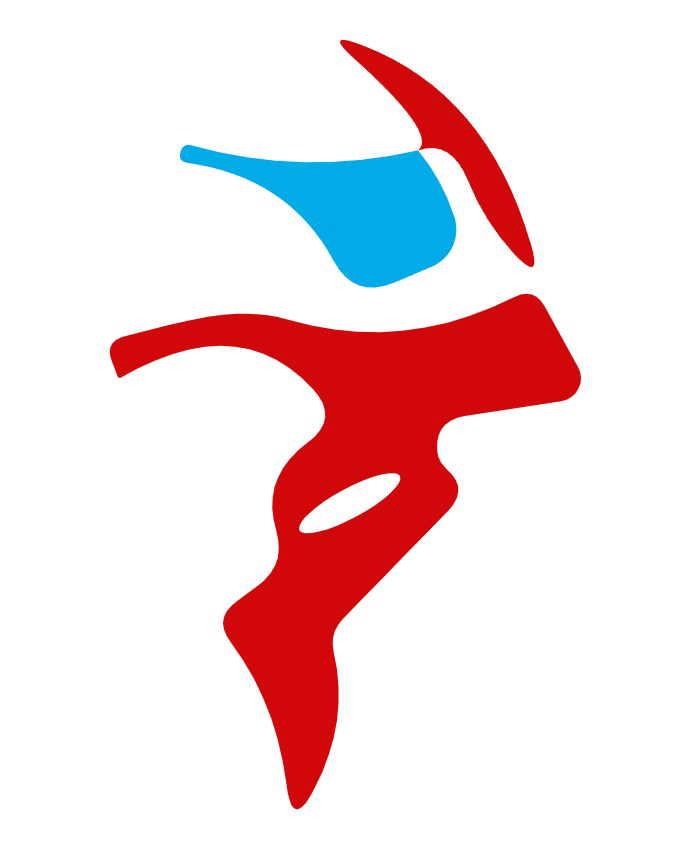 Danswer logo