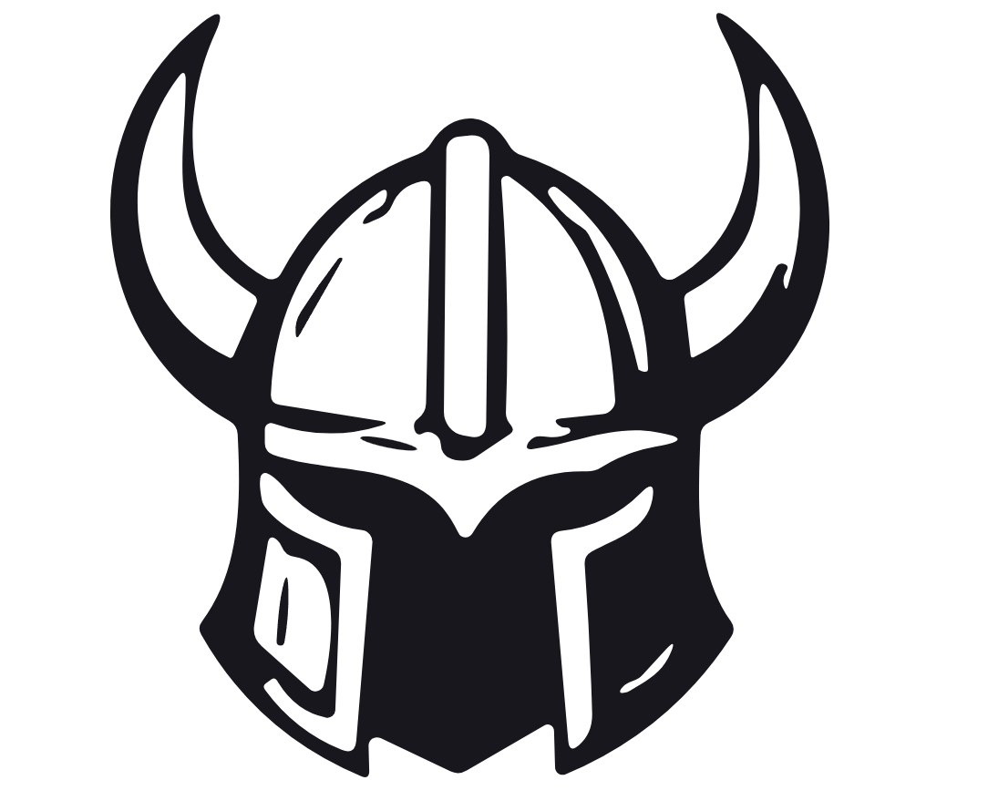 VikingPic