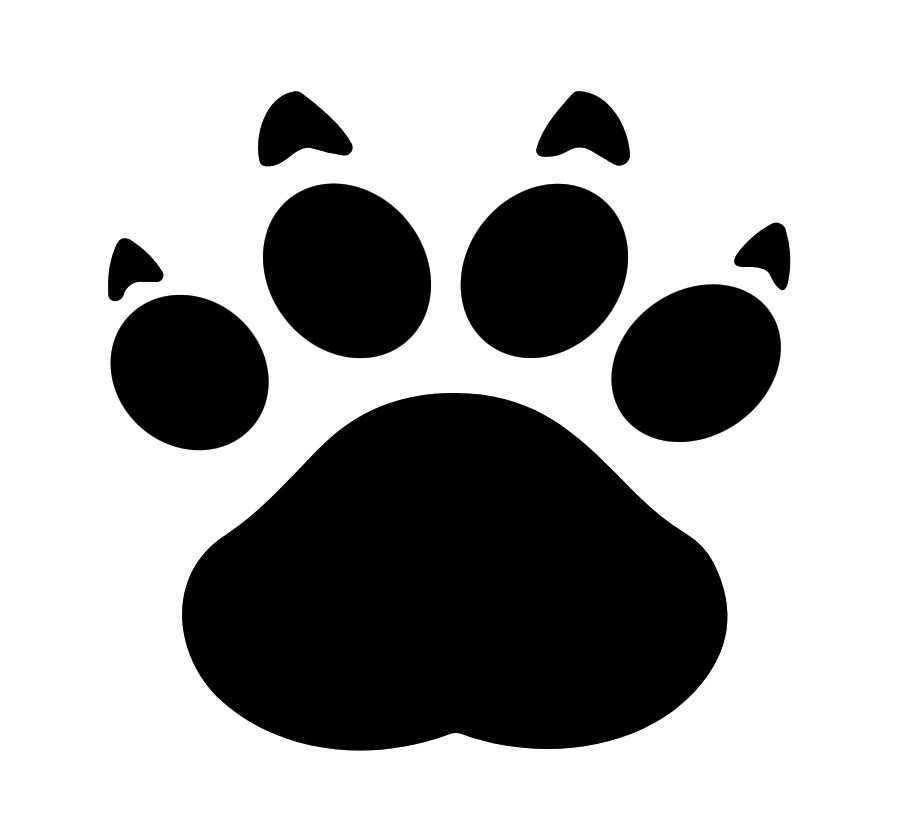 Cheeta logo