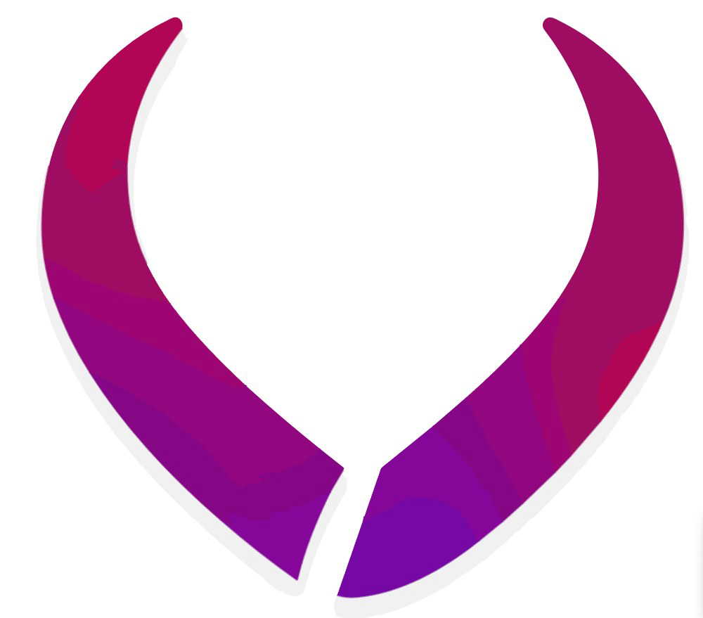 Dante Visair logo