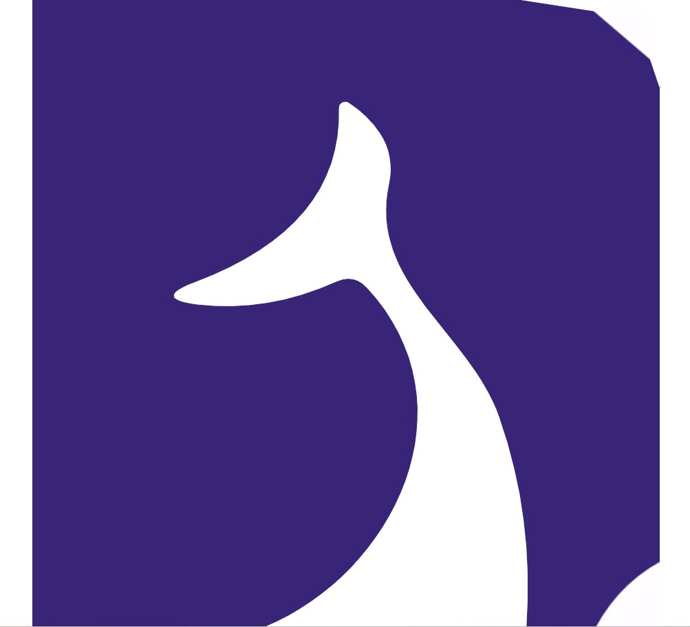 Delfiny AI