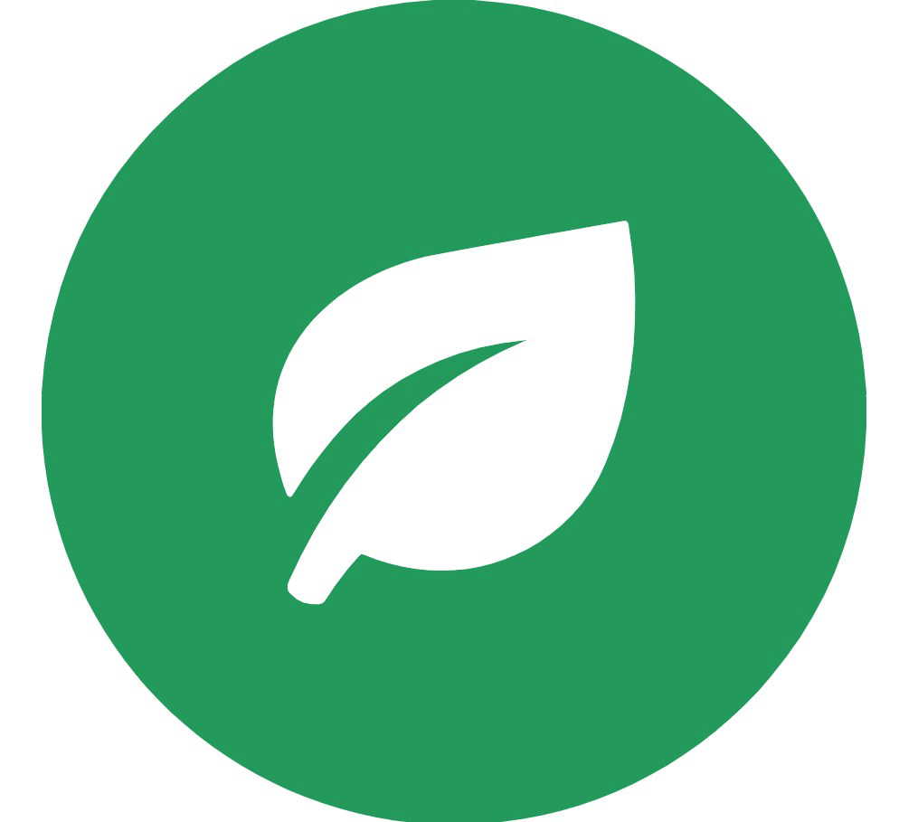 Rainforest QA logo