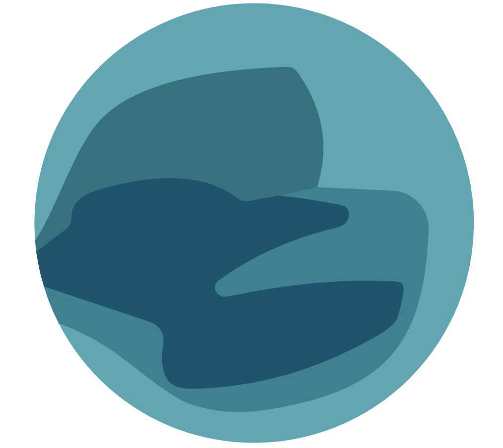 Moondream2 logo