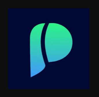 Pincel logo
