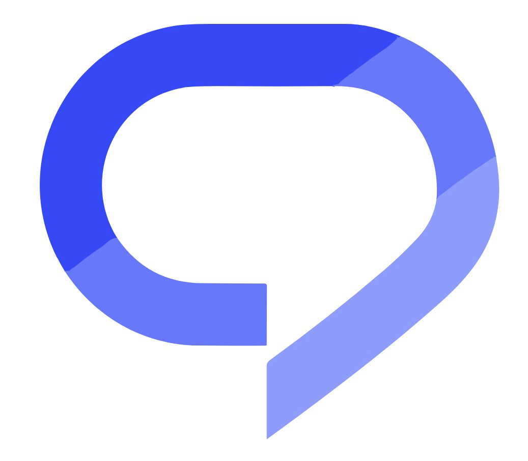 Praktika logo