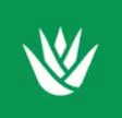 Stepseed logo