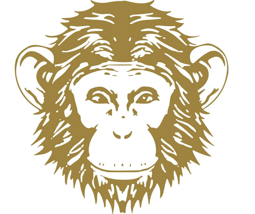 Omneky logo