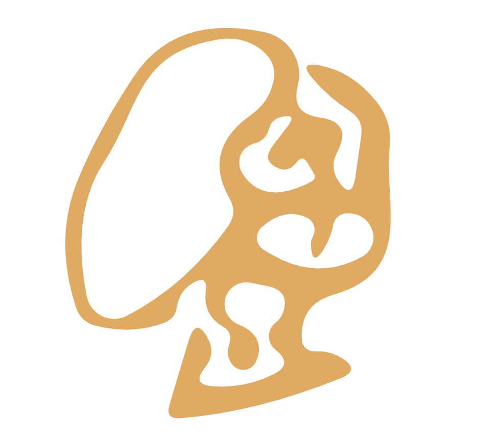 Interview Solver logo
