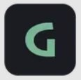 Genesis AI Studio