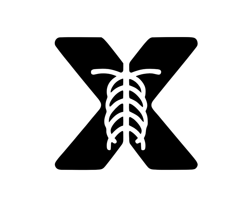 X-ray Interpreter