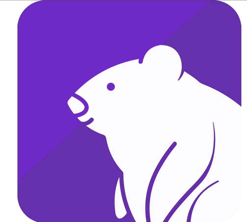 Burrow AI logo