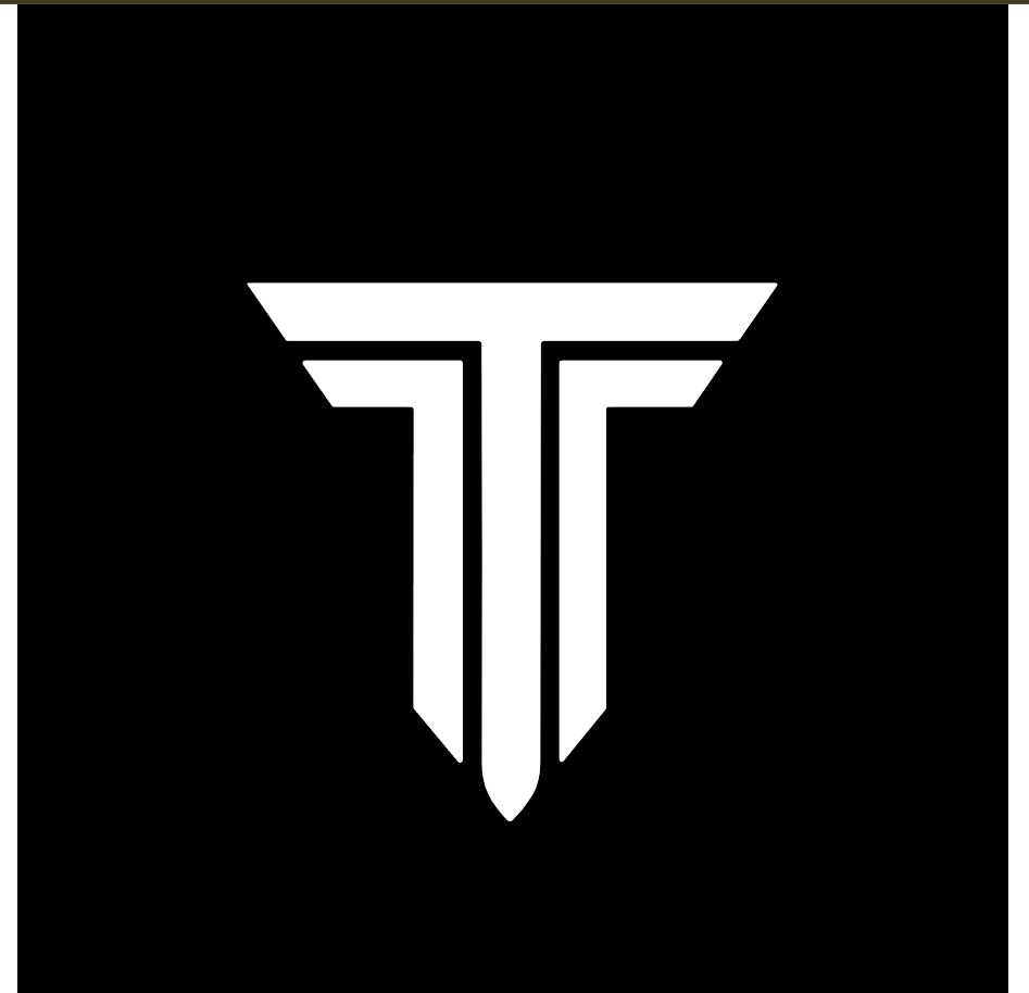Tempo logo