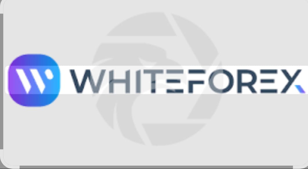 White forex logo