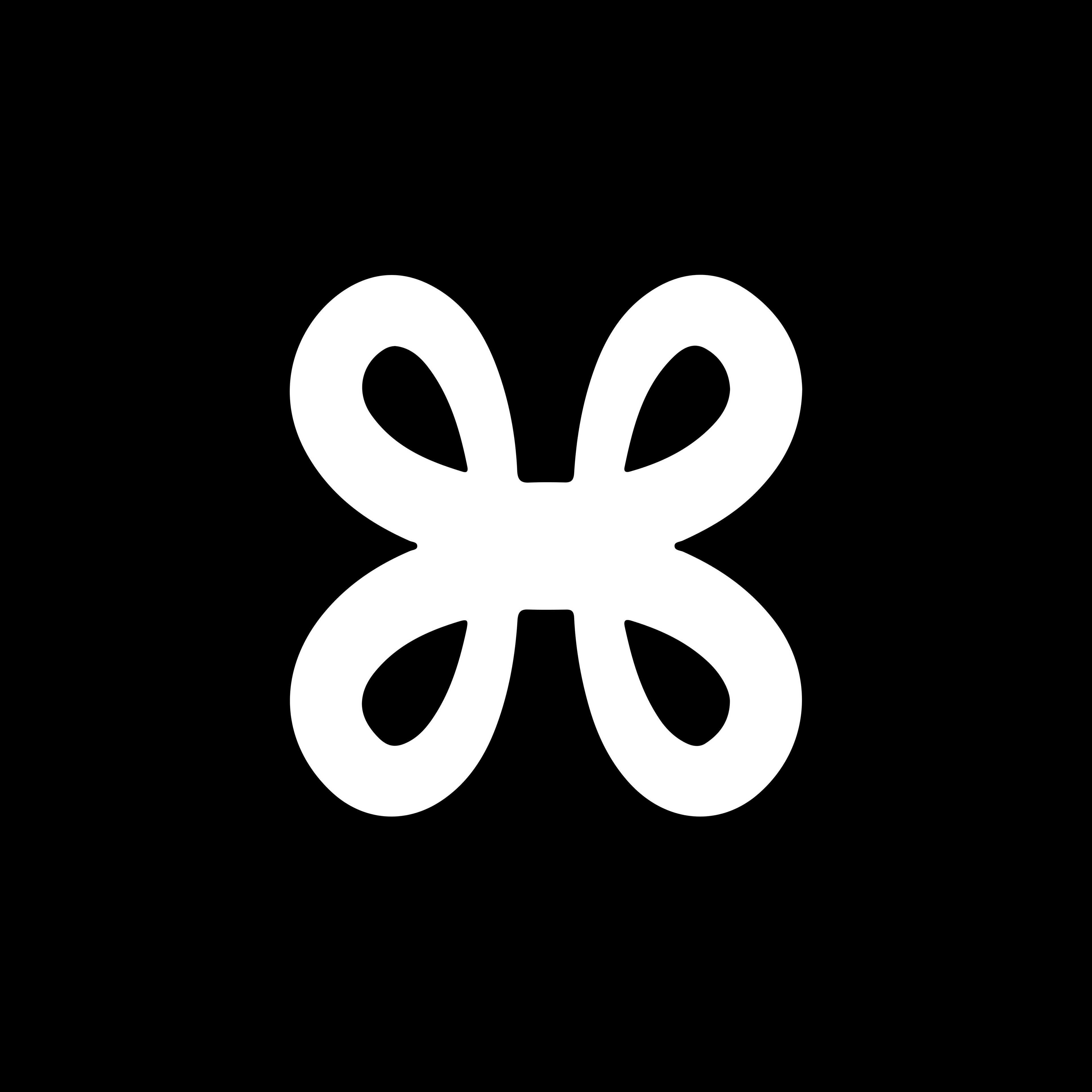 LoopX logo