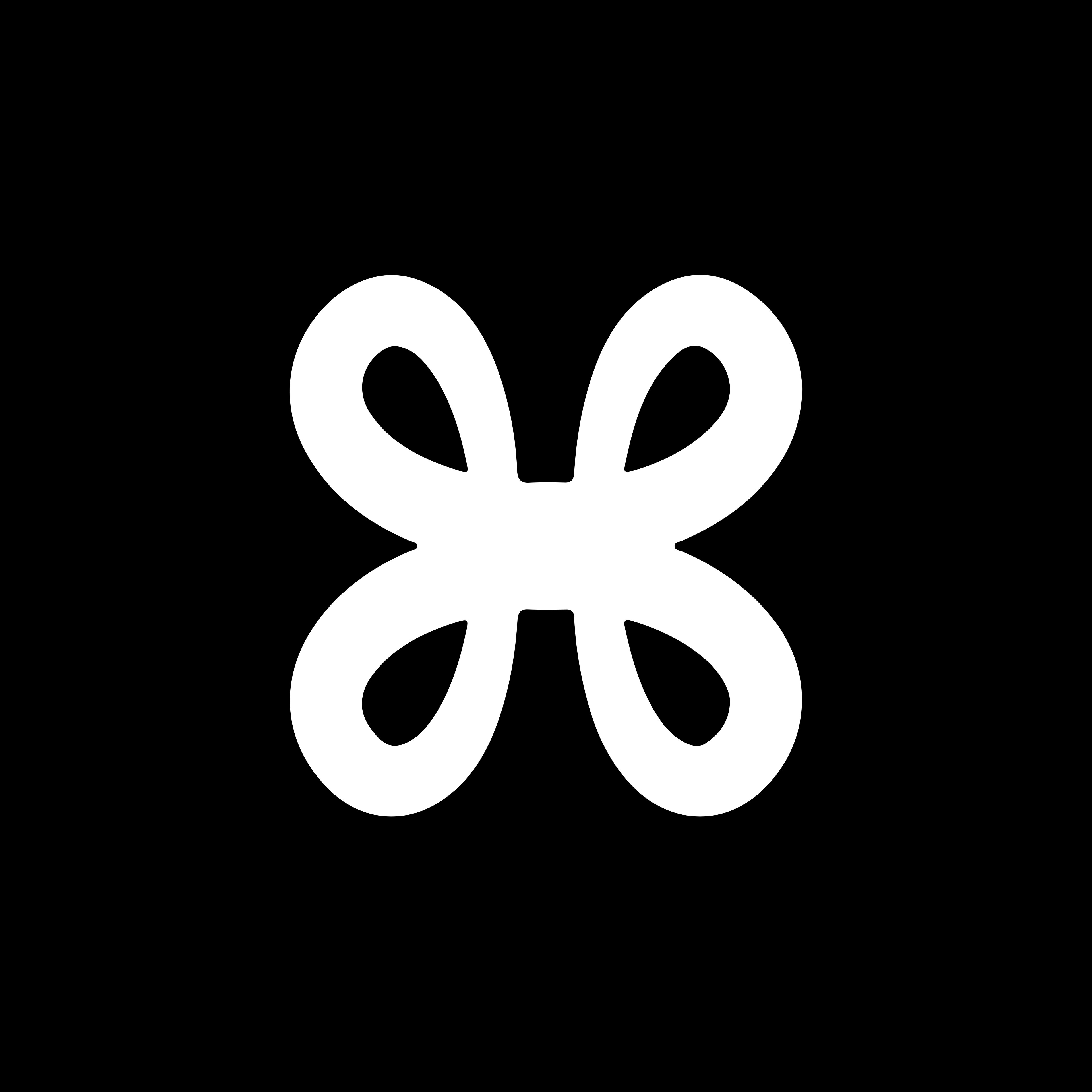 LoopX