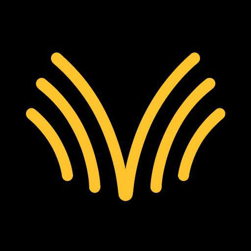 Voibe logo