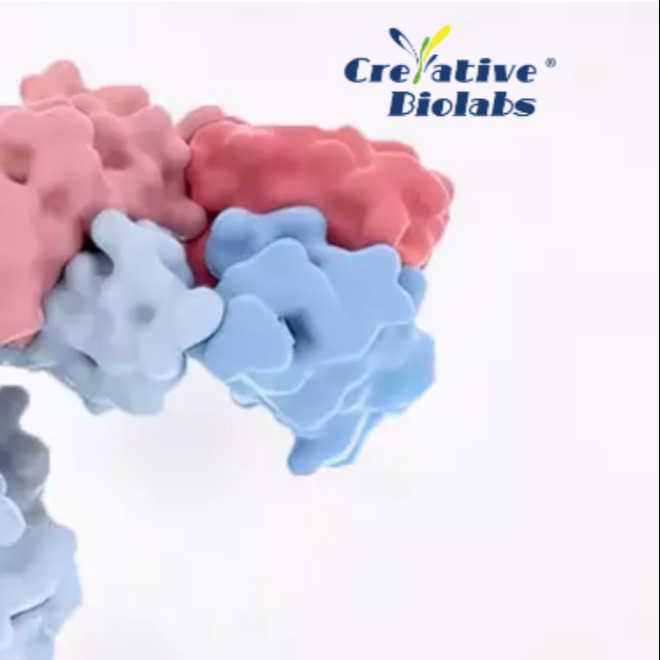 Creative Biolabs logo