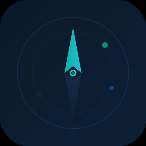 ERP Pilot