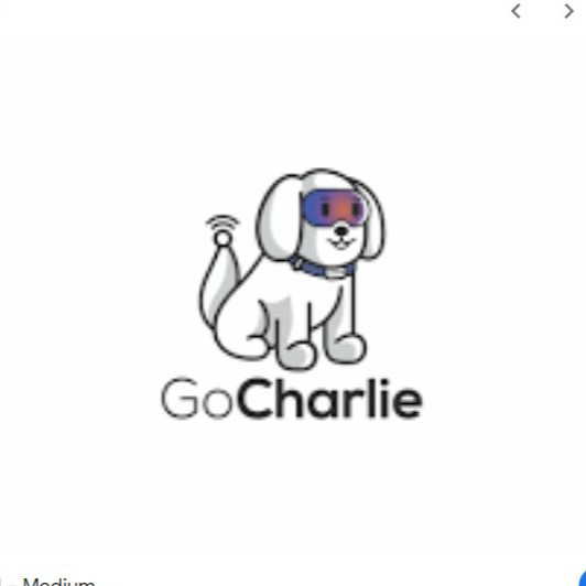 GoCharlie logo
