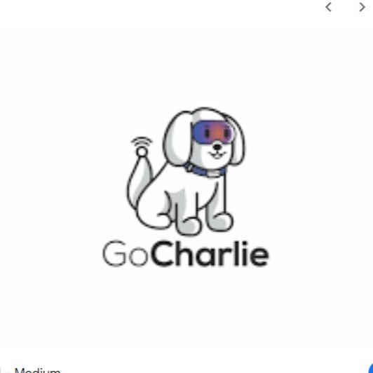 GoCharlie
