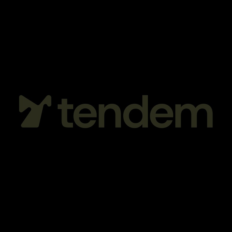 Tendem logo