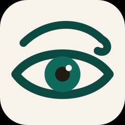 Blinkof.ai