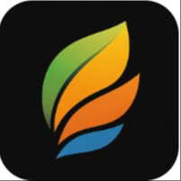 Hair Filter logo