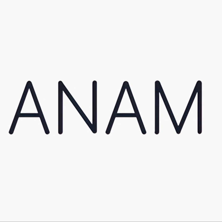 Anam AI - Real time, interactive Video logo