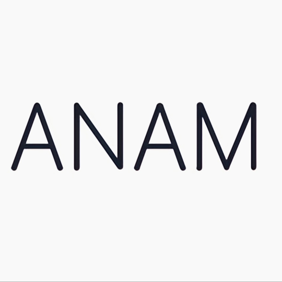 Anam AI - Real time, interactive Video