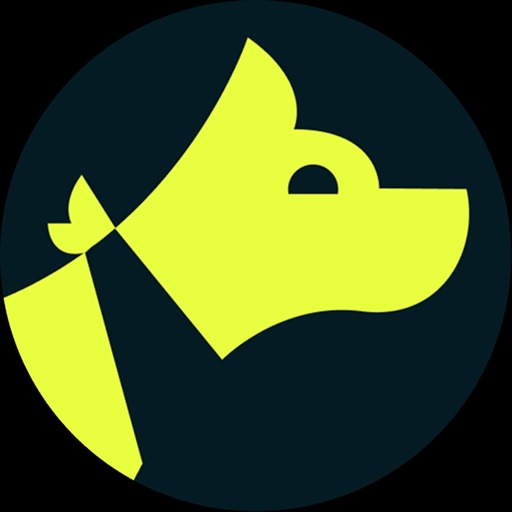 Gauge