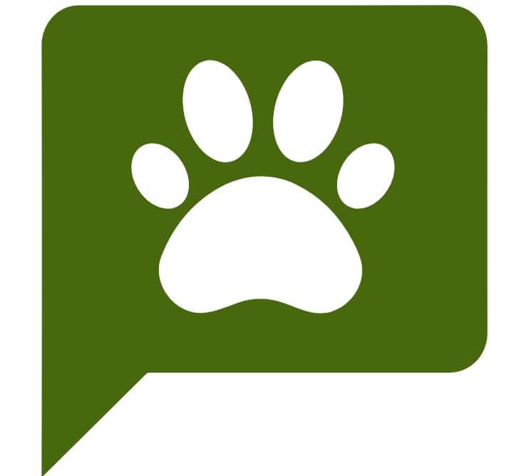 Animalia logo