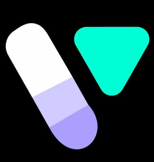 Vmake logo