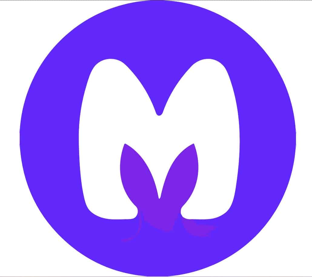MagicSchool