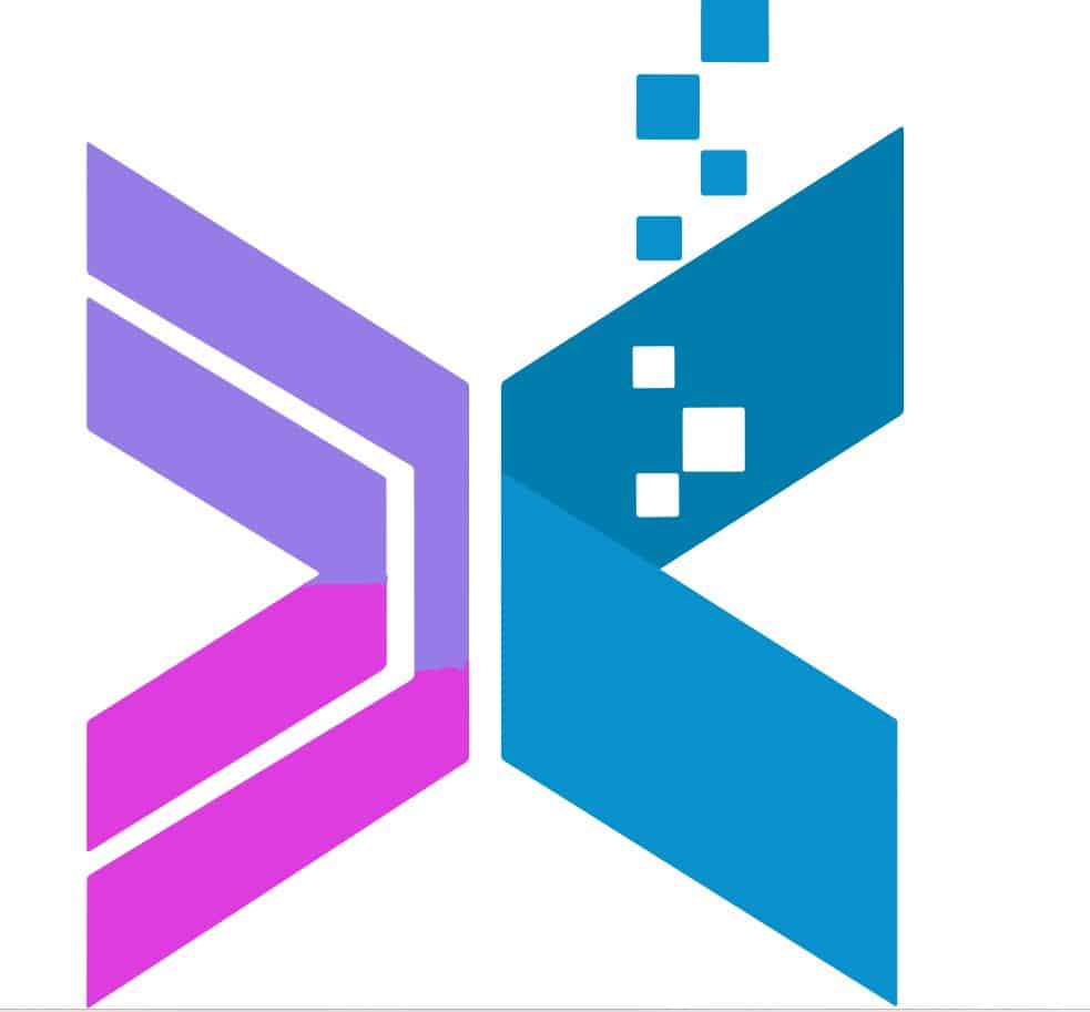 Xinva logo
