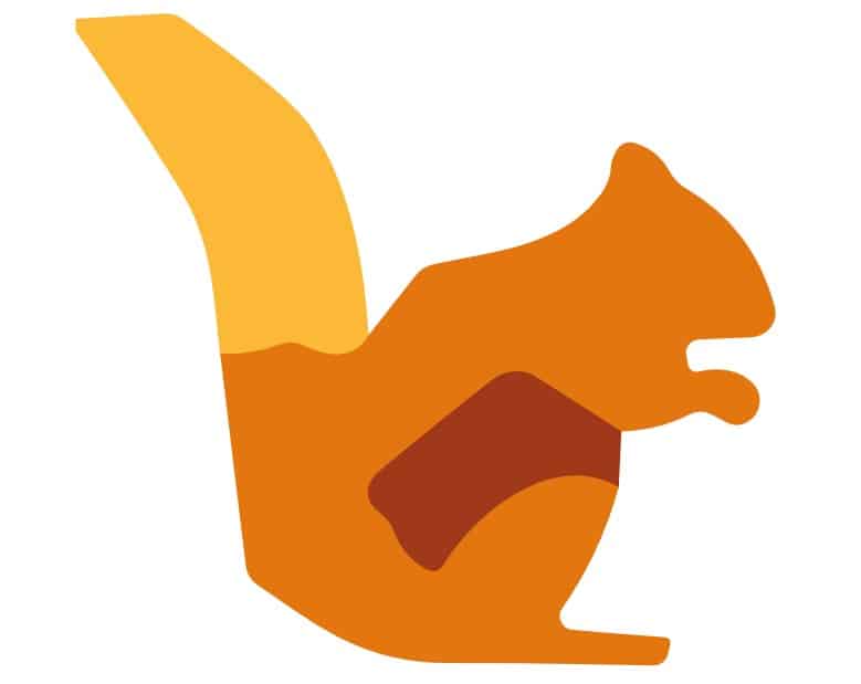DataSquirrel logo