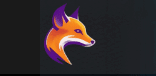 FollowFox