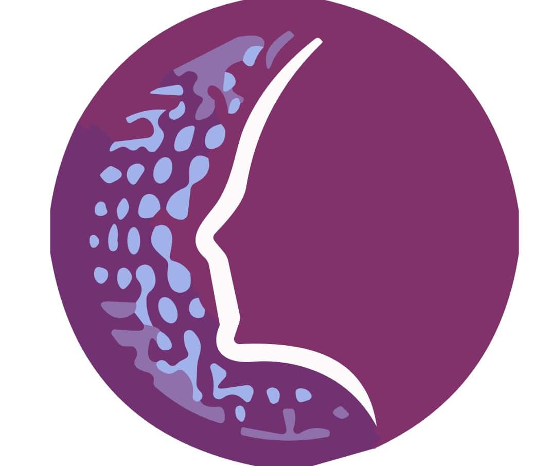 Face Studio logo