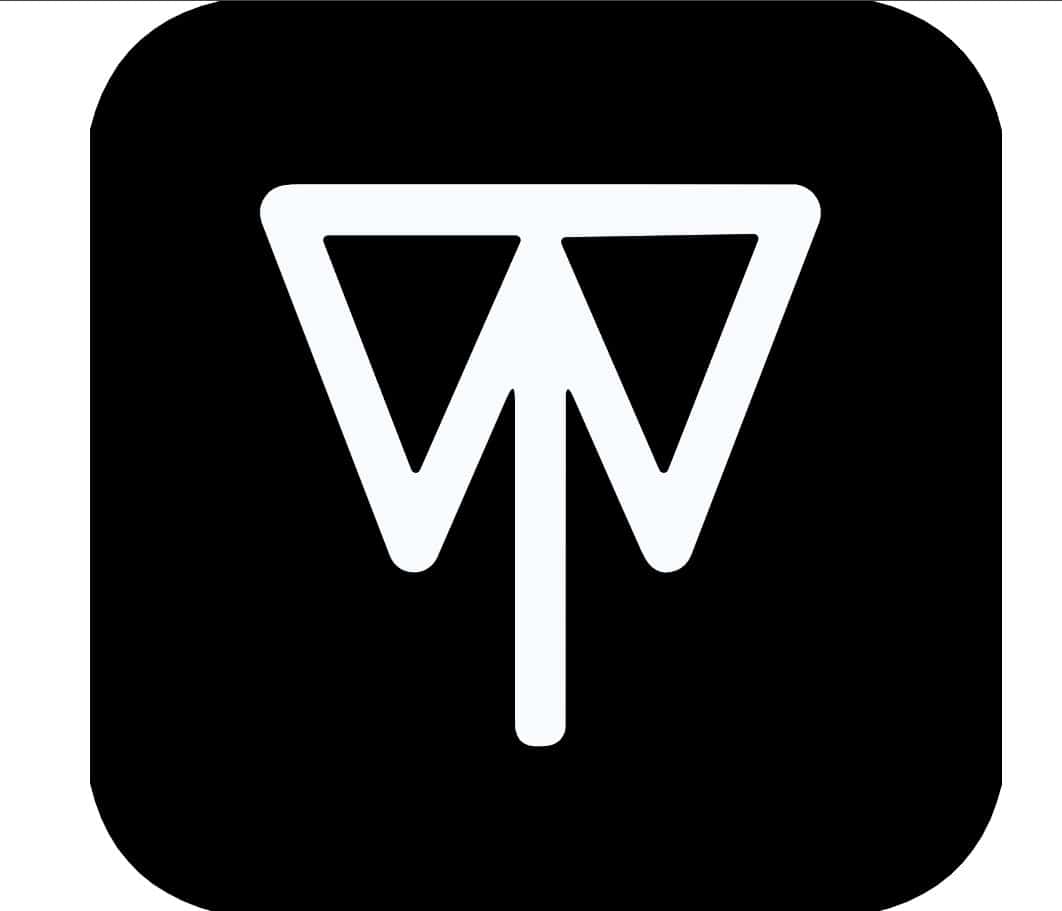 Twon logo