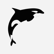 Orca1 Regulatory Intelligence for Medical Devices logo
